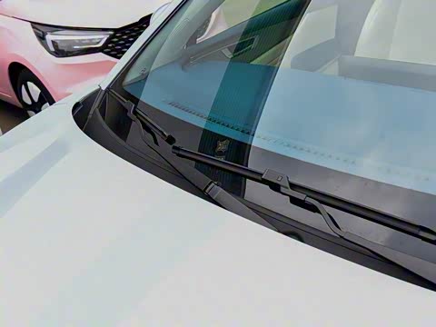 2025�� ���05 ������