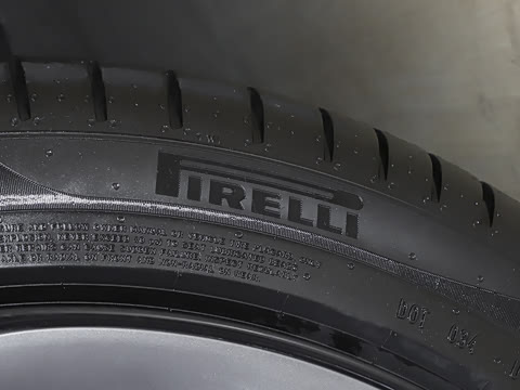 2025�� ����������������