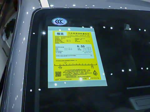 2025�� Renew 1.5T Pro