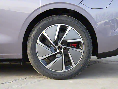 2025�� ���� Max ����������ʻ