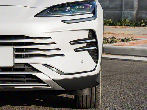 2025�� DM-i �Ǽݰ� 112KM �����