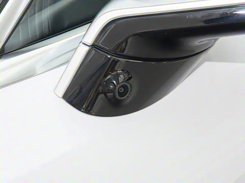 2025�� EV ����������