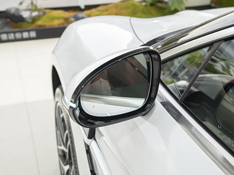 2025�� EV ����������