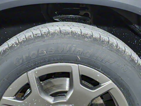 2025�� �콢�� 5��