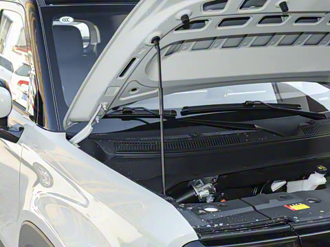 2025�� �콢�� 5��