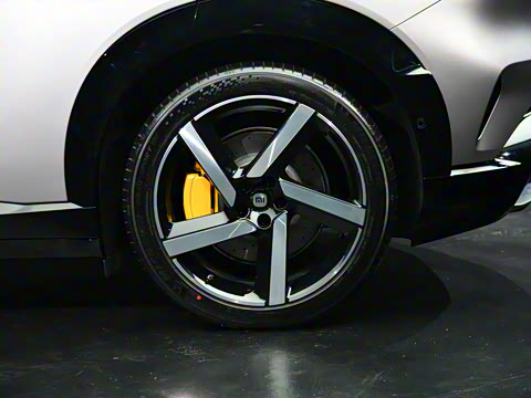 2025�� ������������������Max��