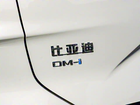 2025�� DM-i �Ǽݰ� 112KM �����