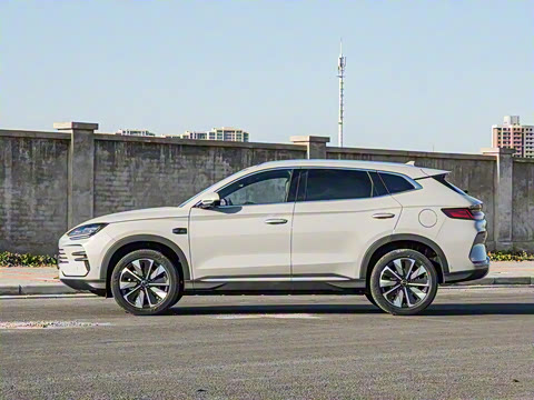 2025�� DM-i �Ǽݰ� 112KM �����