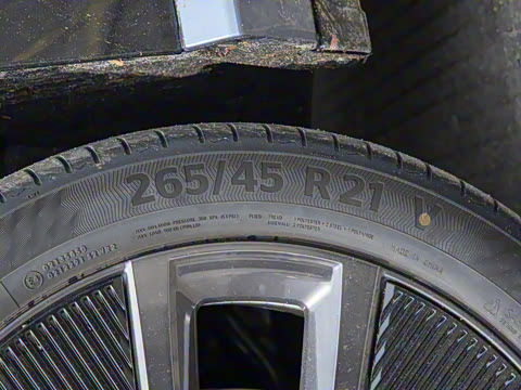 2025�� ����������Max