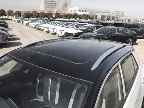 2025�� 300TSI DSG���������