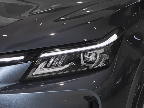 2025�� 165km ���������ж��ư� 5��