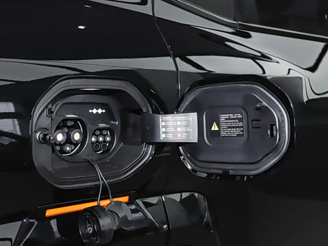 2025�� ���º����� 7��