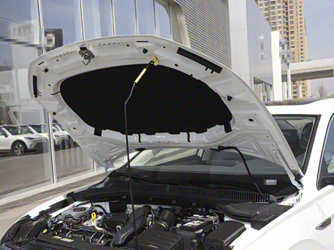 2025�� �Ŀ� 300TSI DSG׿Խ��