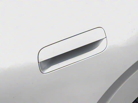 2025�� 530km ����Pro