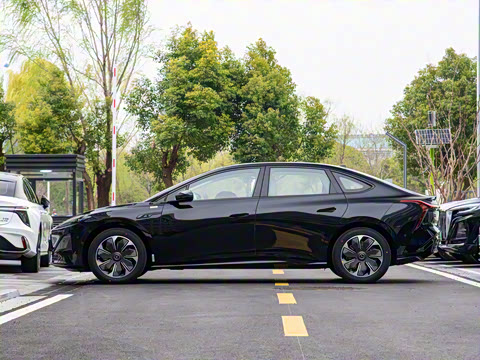 2025�� 550��ѡ��