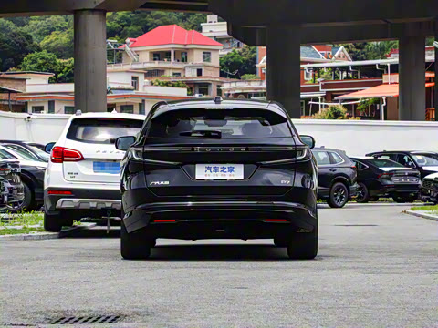 2025�� ����������Pro