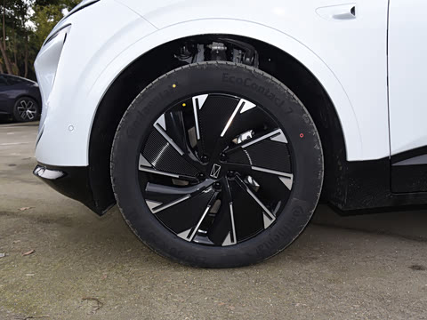 2024�� Max���������