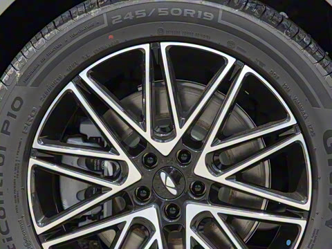 2025�� 260������������