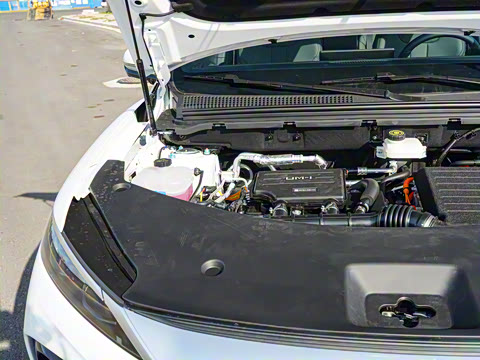 2025�� �ڶ��� �Ǽݰ� DM-i 115KM��Խ��