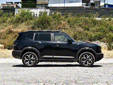 2025�� 220km ����������