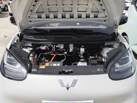 2025�� 333km ������