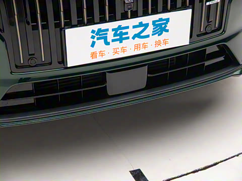 2025�� 2.0TD EM-P ����Max ����