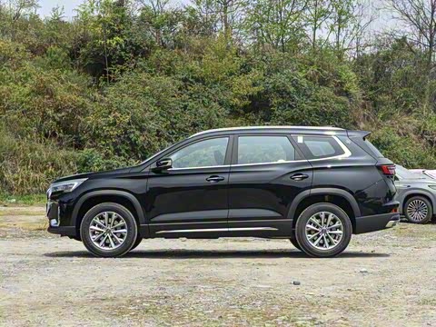 2025�� 1.6TD �ֶ����ʰ� 5��