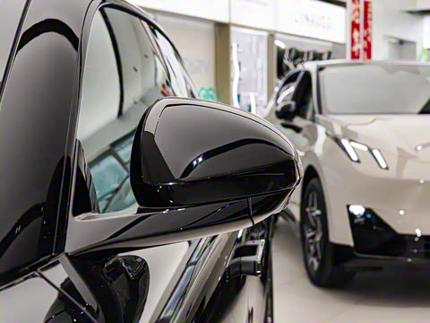 2024�� STARBUFF 95kWh 766km����