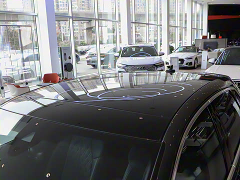 2025�� Sportback 35TFSI �ɳ������� +������ѡ��