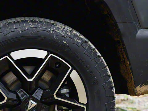 2024�� ����������