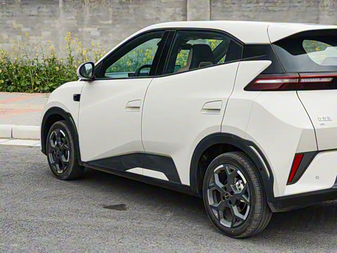 2025�� �Ǽݰ� 305km ���ɰ�