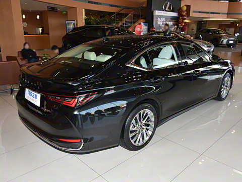 2025�� 300h ������