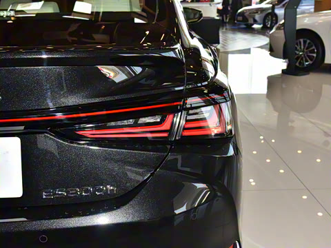 2025�� 300h ������