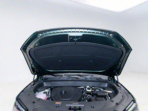 2025�� ������ 2.0TD �Զ��񳯰�