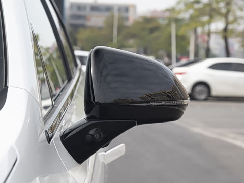 2025�� 520�����״��