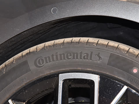 2025�� Pro�����