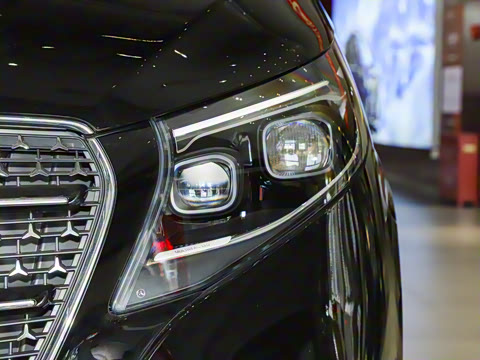 2025�� �������������