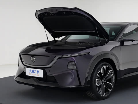 2025�� ����600 Max