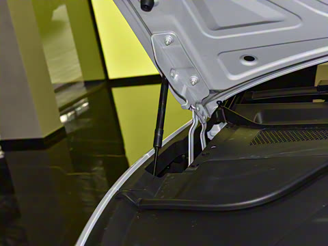 2025�� 600 ������