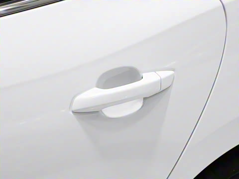 2024�� DM-i 55KM �캽��ҫ��