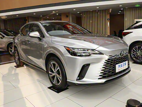 2025�� 300 ����������