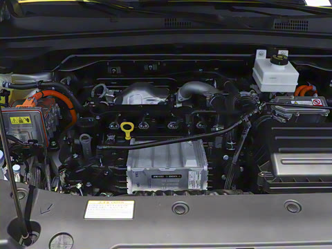 2025�� 205��������������