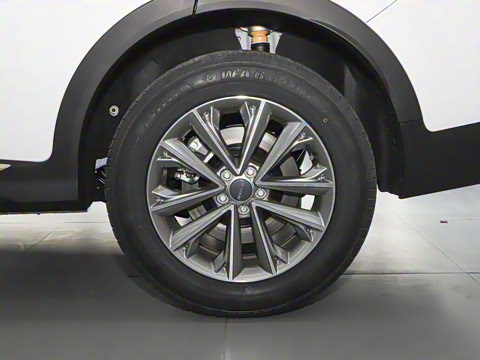 2025�� 1.5T DCT��ԽPRO 5��