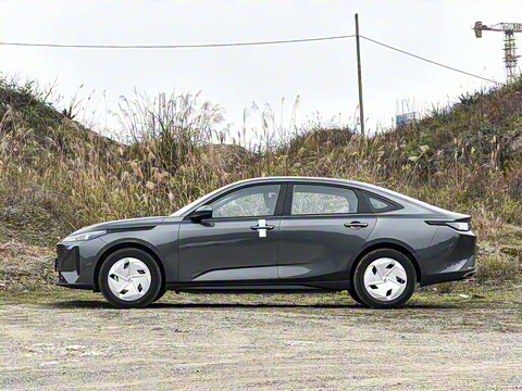 2025�� ��׼��