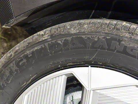 2025�� ��׼��