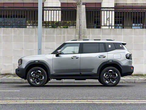 2025�� 2.0TD XWD����