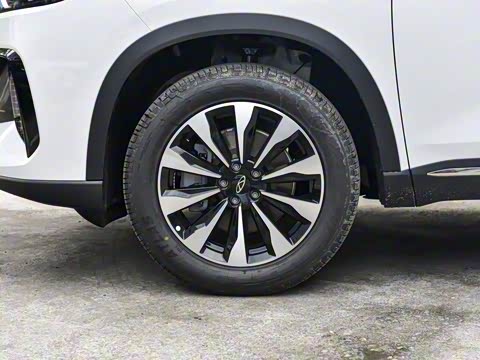 2025�� 290TGDI DCT�˷�� 7��