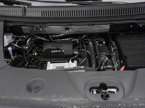 2025�� DM-i 1.5T 100km �캽��