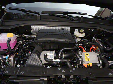 2025�� ̽����