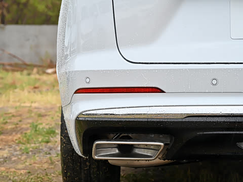 2025�� ������Plus ����Avenir��ά��